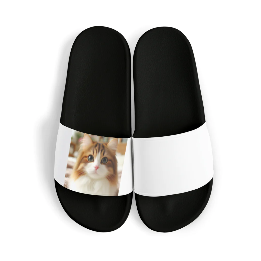 猫　ねこグッズギャラリーのミケにゃん Sandals