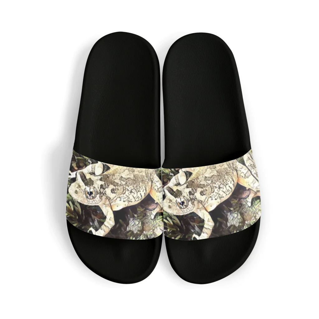 Fantastic FrogのFantastic Frog -Dry Moss Version- Sandals