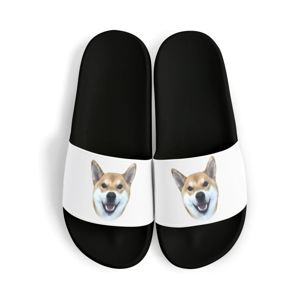 KANTAROの柴犬 かんたろう(実写) Sandals