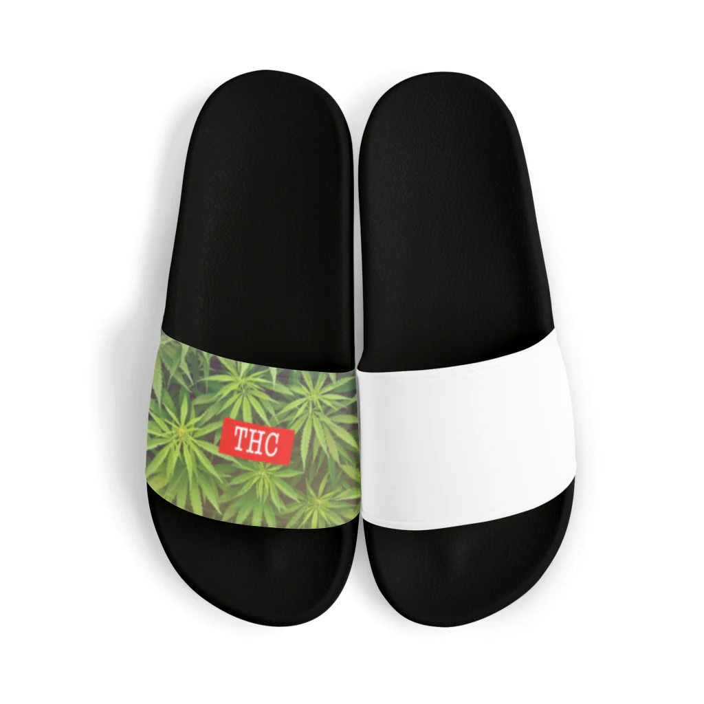 マリファナ　大　麻太郎のTHC CBD 大麻　 Sandals