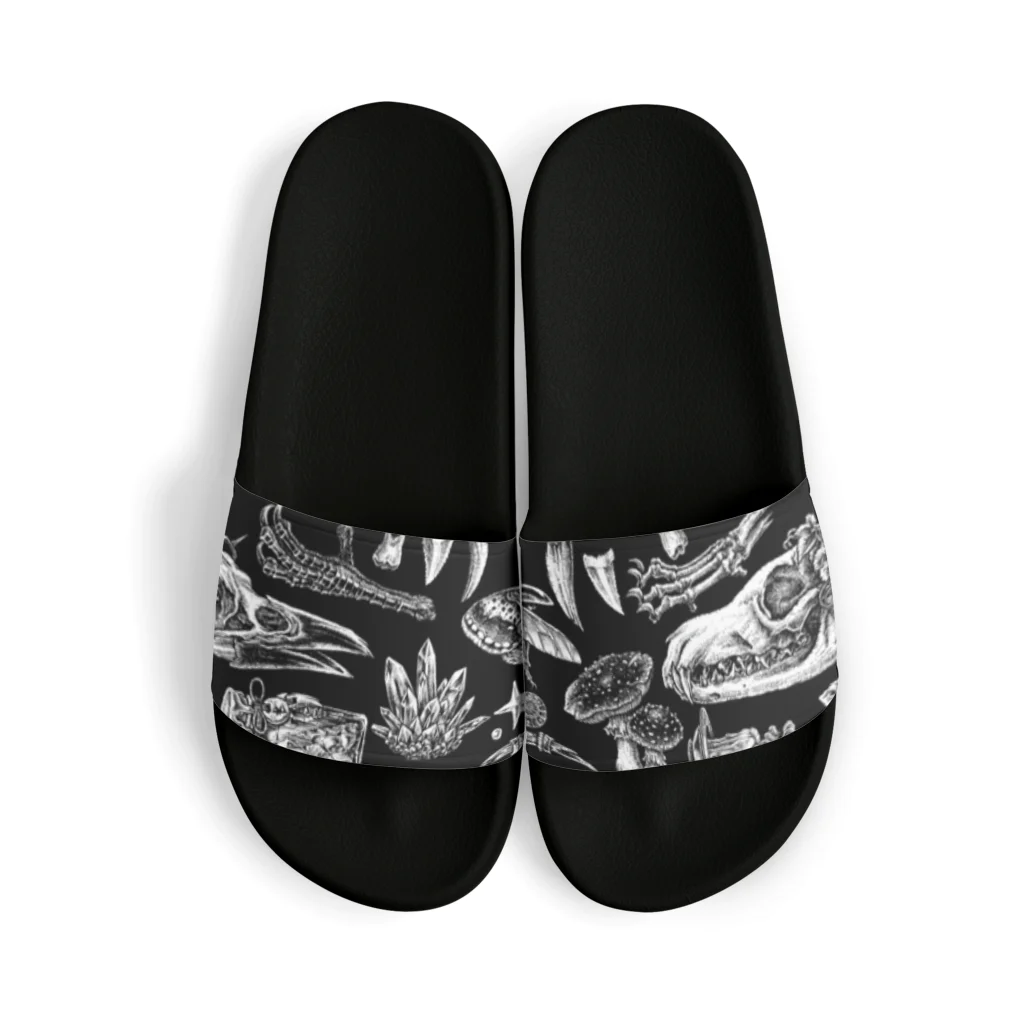 BLACKINKのNest Sandals