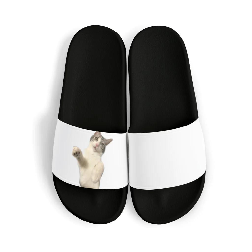 neko"toの猫パンチ Sandals