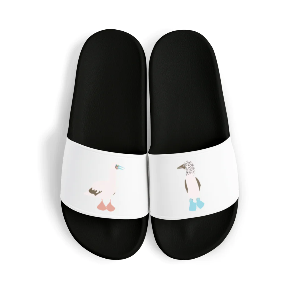 zawamichanのアオアカアシカツオドリ Sandals