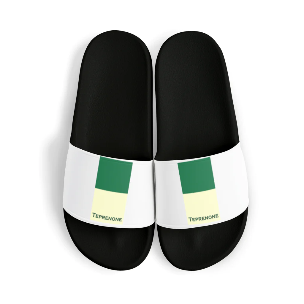 推し薬の推し薬「テプレノン」 Sandals