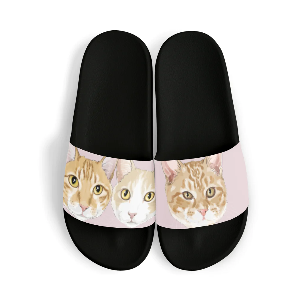 みきぞーん｜保護猫 ミッキー画伯と肉球とおともだちのhyuk & john & choice Sandals