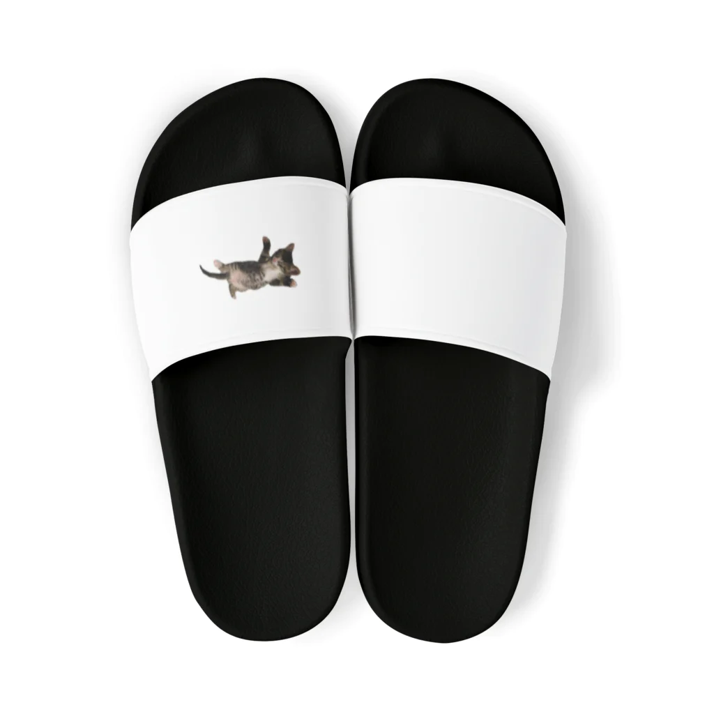 mucchinpurinの猫ちゃん  Sandals