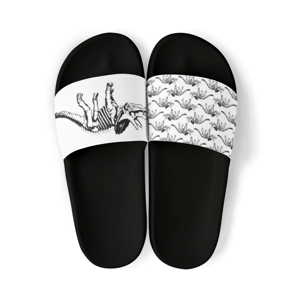 tottoのトリケラトプス骨格 Sandals