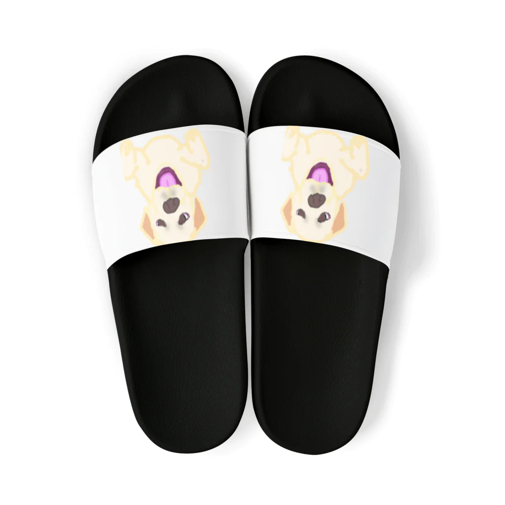 DOGLABのラブラドール　アビバちゃん Sandals