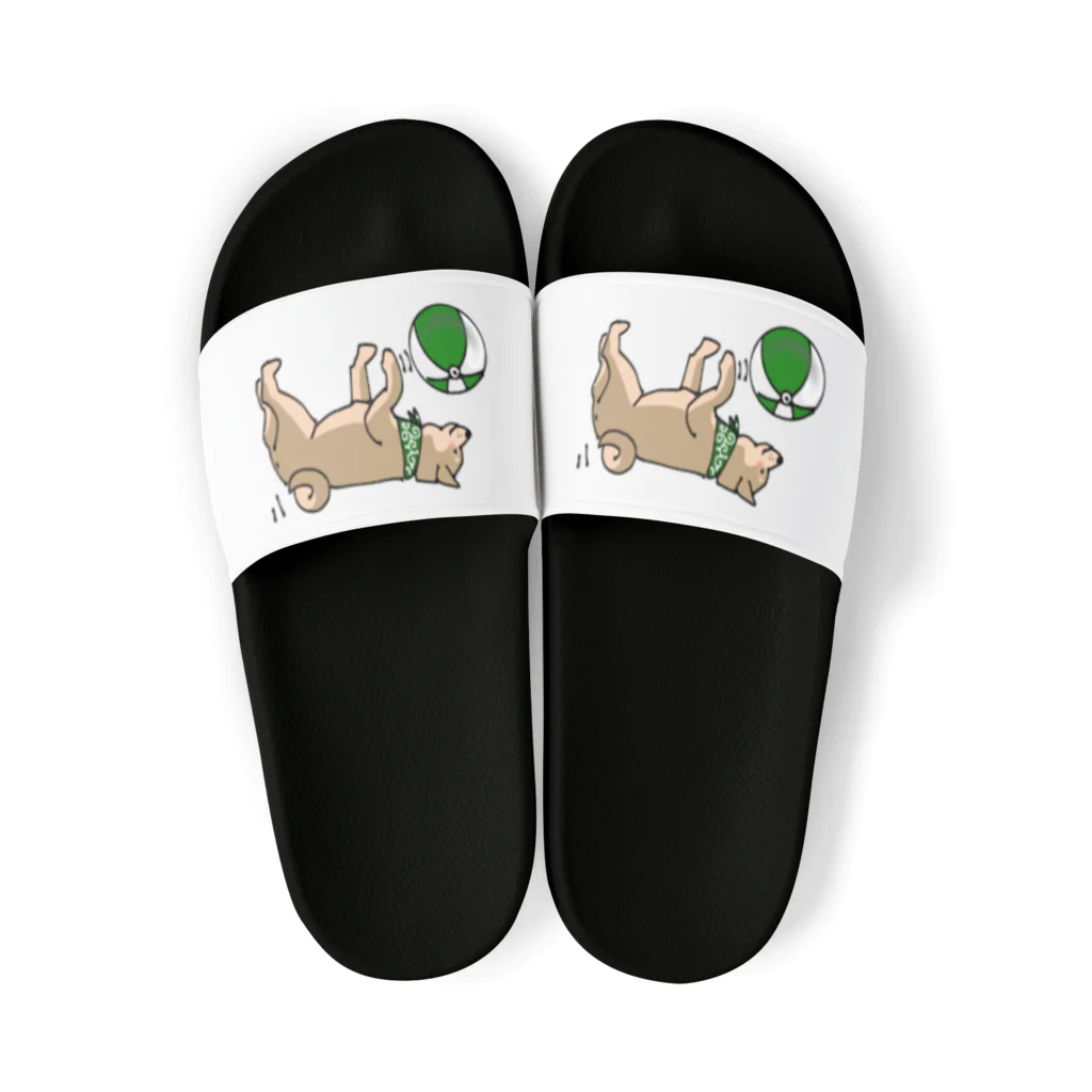 売れるなんて思ってないのビーチ柴犬 Sandals