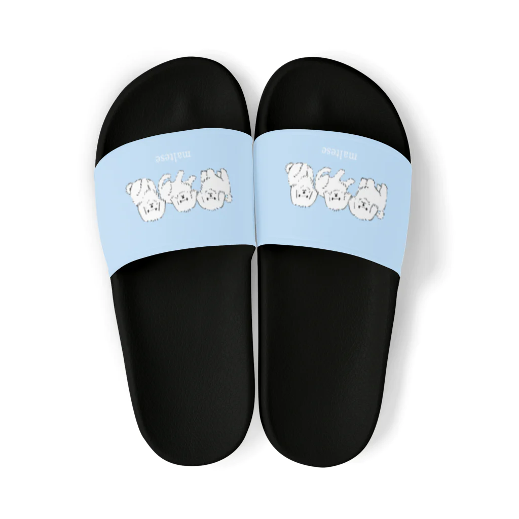 suzumaruのThree Maltese(pastel blue) サンダル