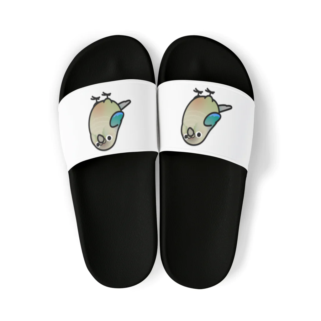 Cody the LovebirdのChubby Bird　ウロコインコ　ターコイズシナモン Sandals