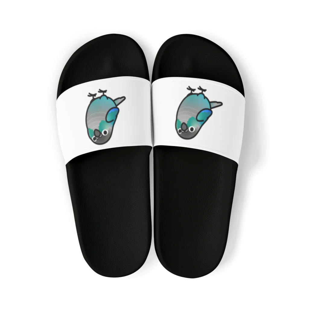 Cody the LovebirdのChubby Bird ウロコインコ　ターコイズ Sandals