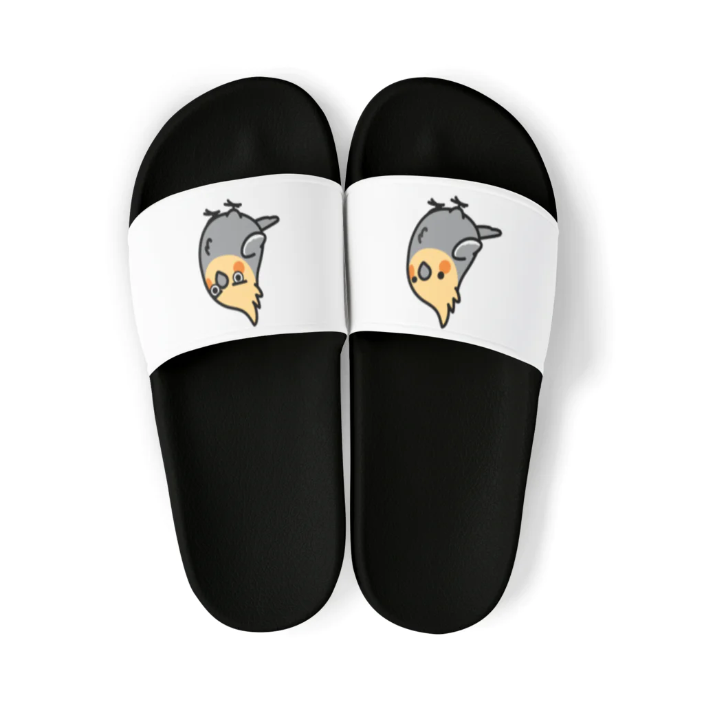 Cody the LovebirdのChubby Bird オカメインコ Sandals