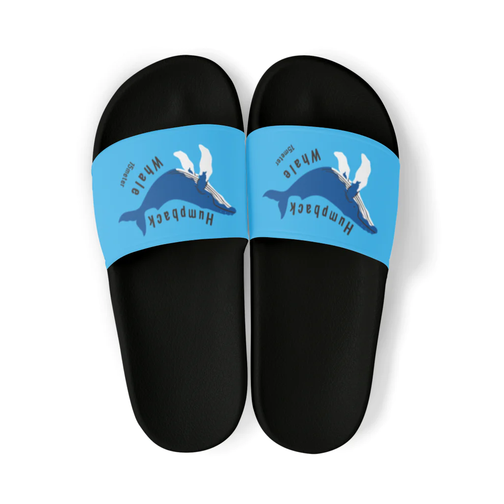 クジラの雑貨屋さん。のザトウクジラ・サンダル Sandals