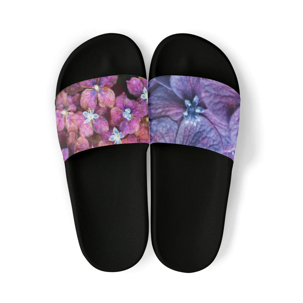 8l0の紫陽花　紫 Sandals