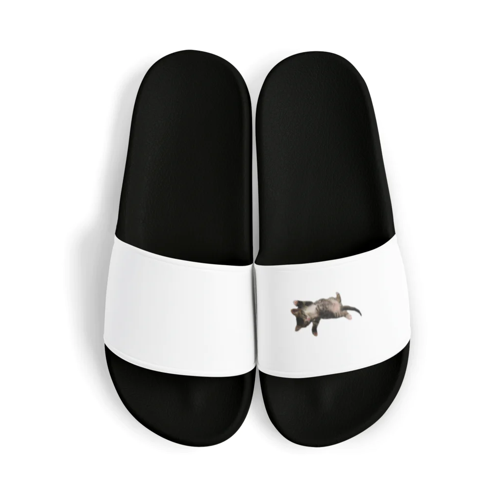 mucchinpurinの猫ちゃん  Sandals