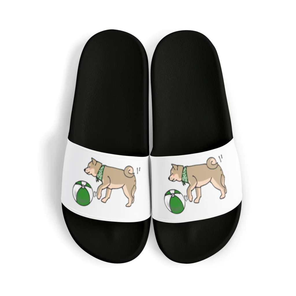 売れるなんて思ってないのビーチ柴犬 Sandals