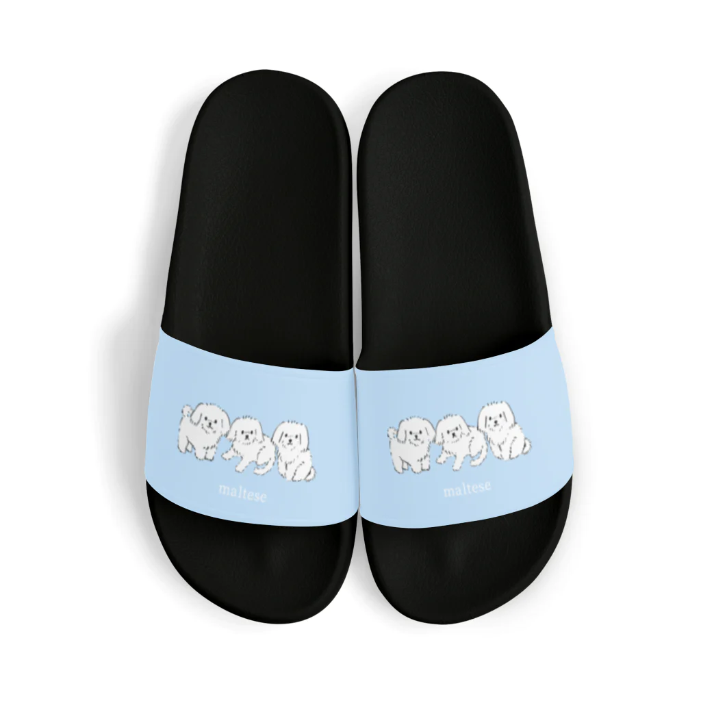 suzumaruのThree Maltese(pastel blue) サンダル