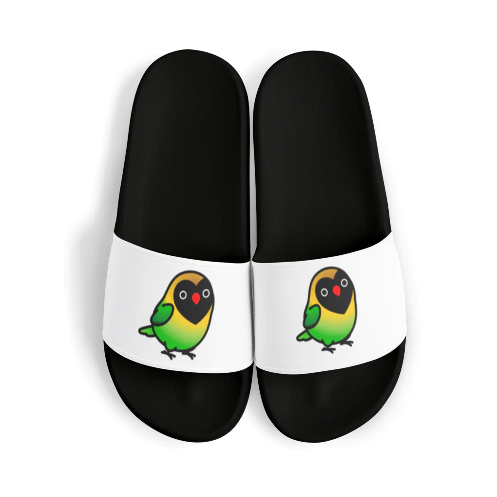 Cody the LovebirdのChubby Bird キエリクロボタンインコ Sandals