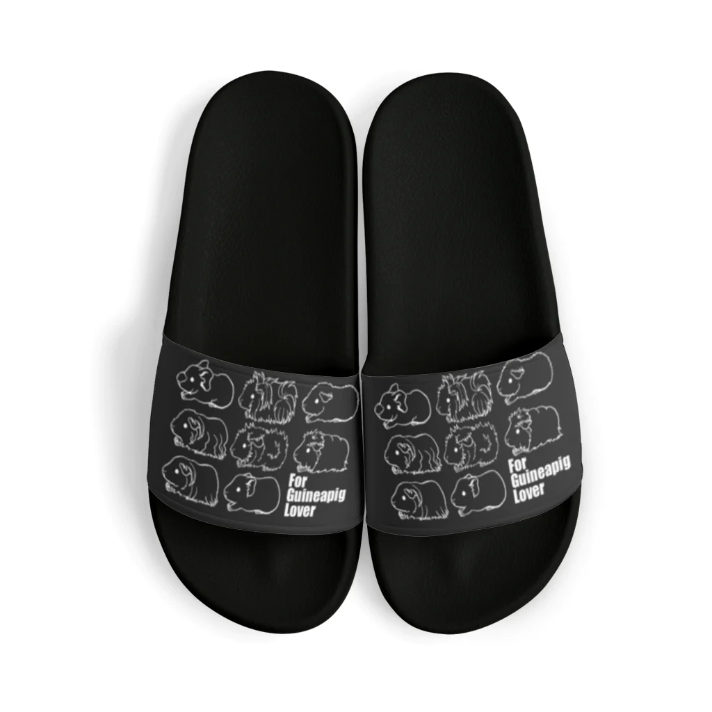 Lichtmuhleのシンプルモルモット黒 Sandals