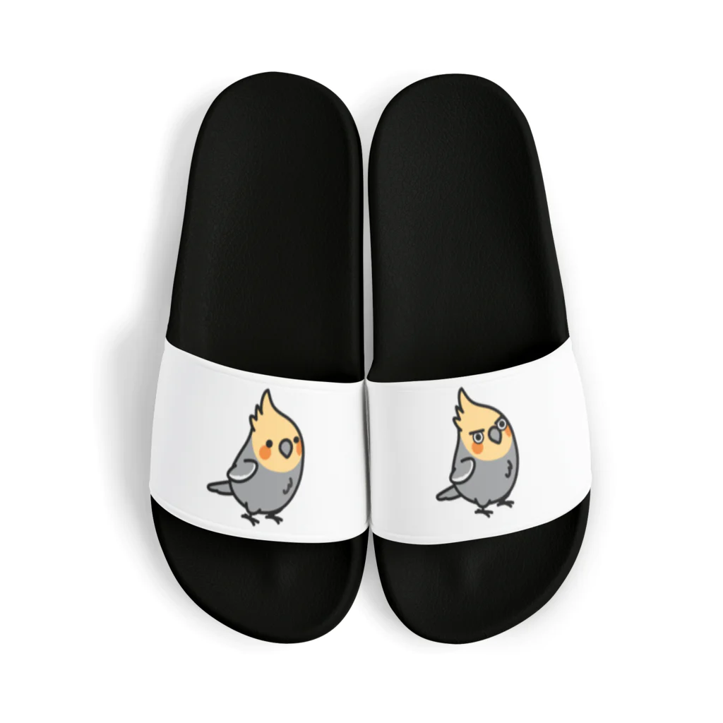 Cody the LovebirdのChubby Bird オカメインコ Sandals