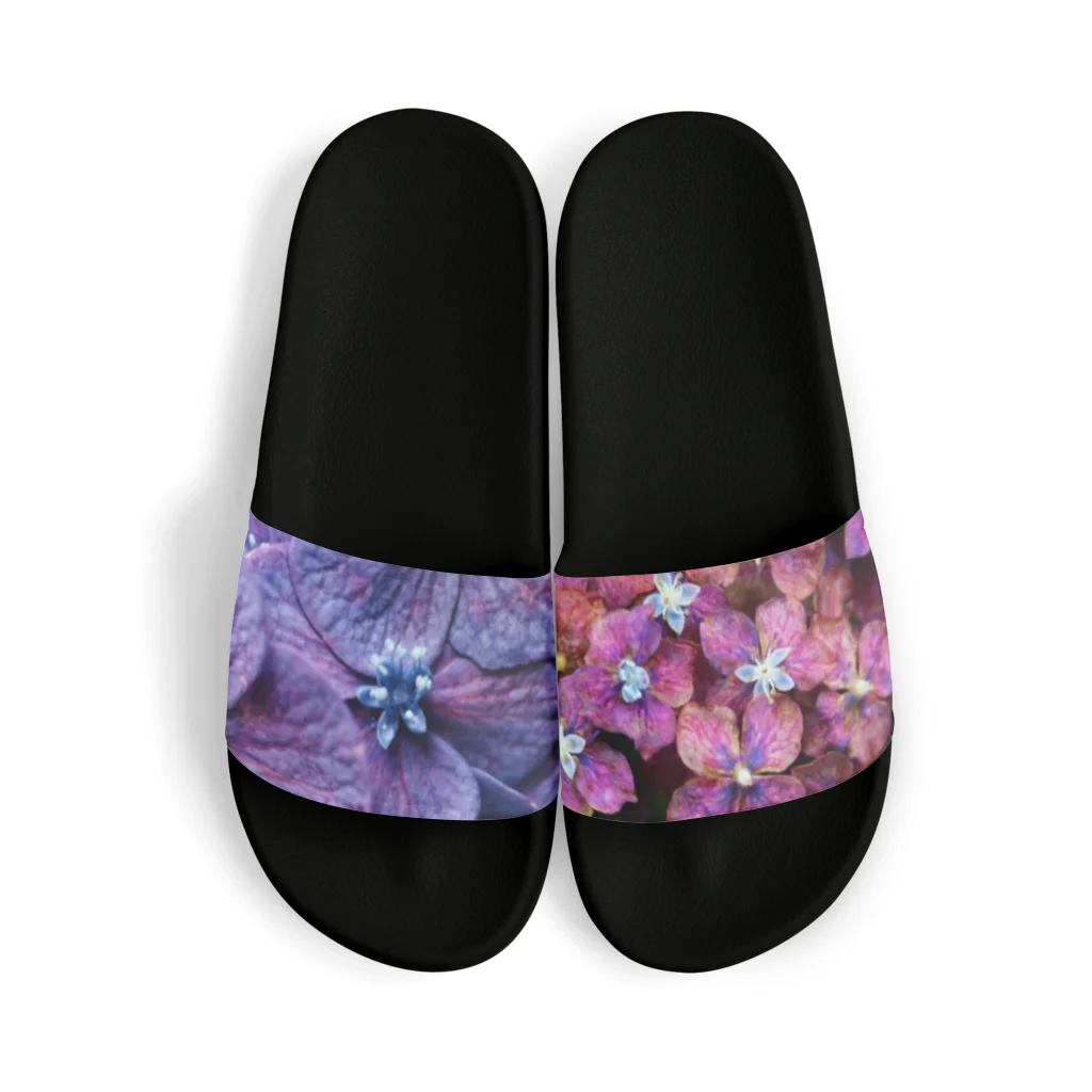 8l0の紫陽花　紫 Sandals