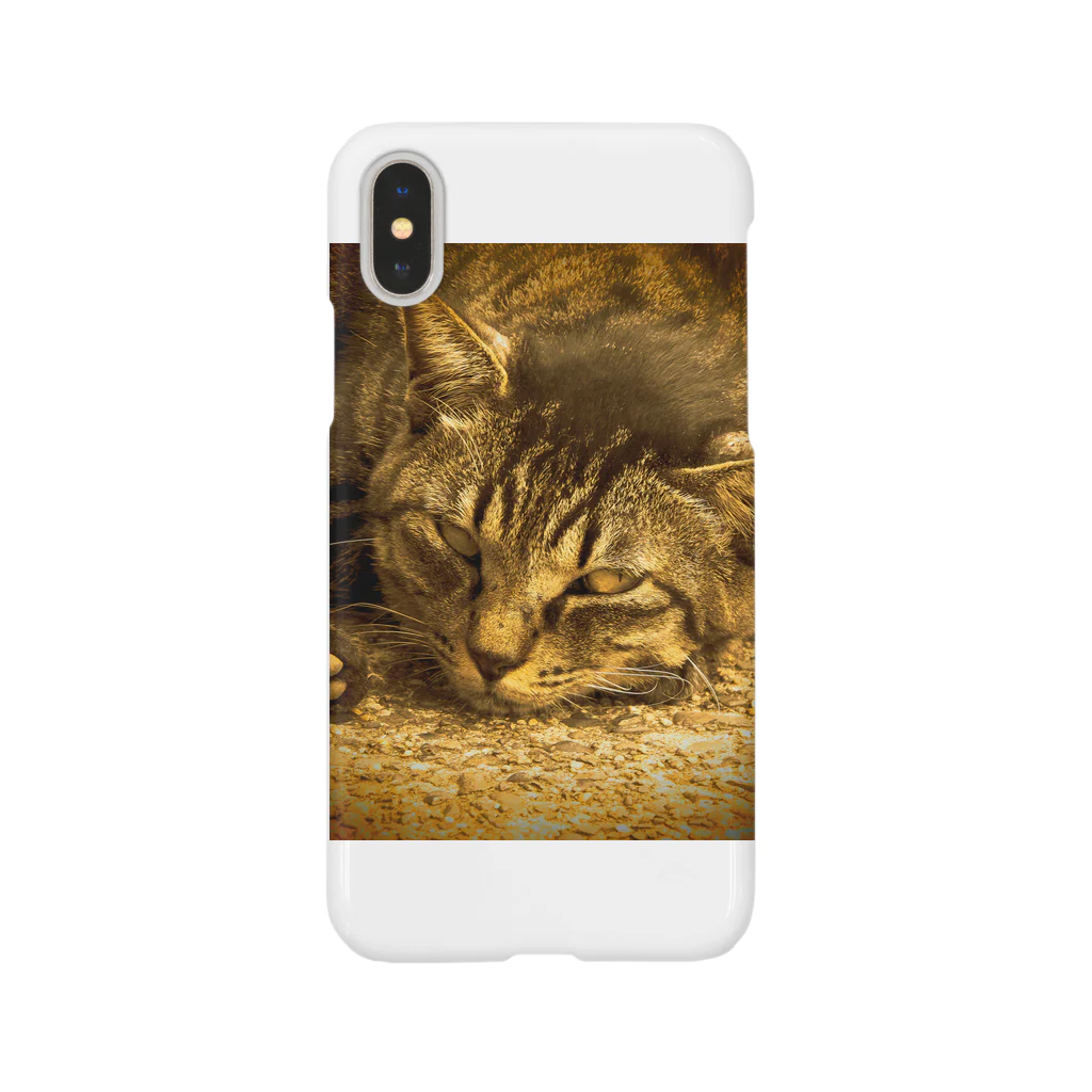 iPhoneケース専門店の黄金色の猫 スマホケース