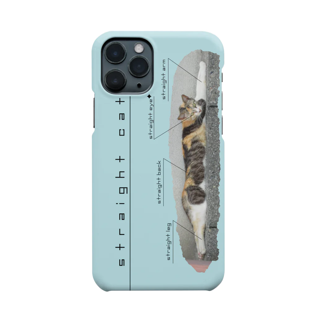 斜め上支店のまっすぐ猫-3.2_水 Smartphone Case