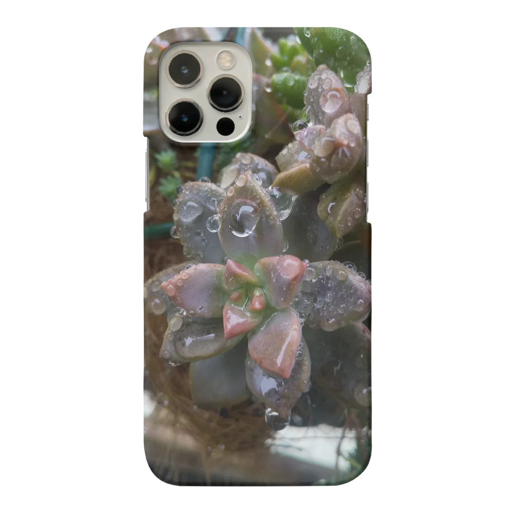 ミクロの雨の中の多肉植物 Smartphone Case