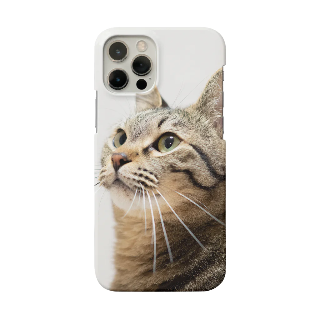 M's photographyのキジトラ猫 Smartphone Case