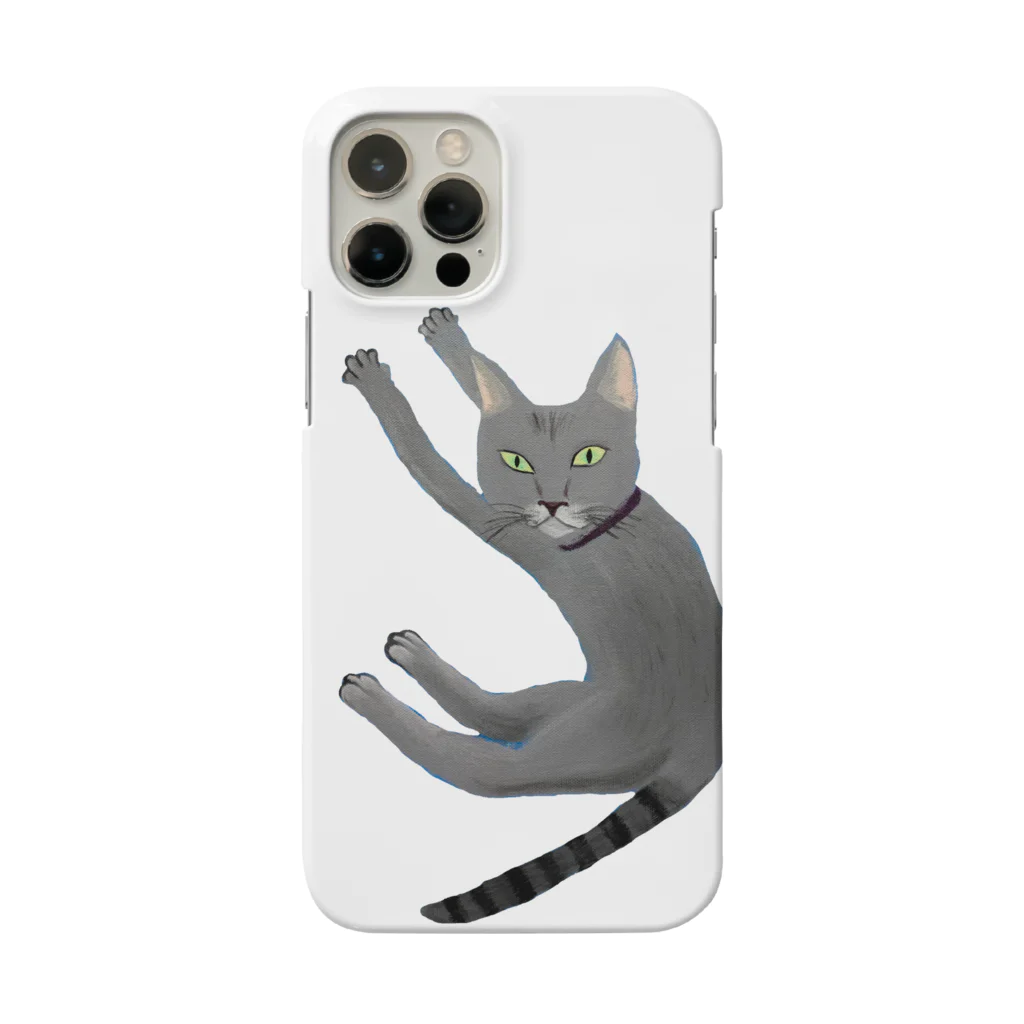 Vermeer-ふぇるめーるのふぇるめーるのふぇるくん Smartphone Case