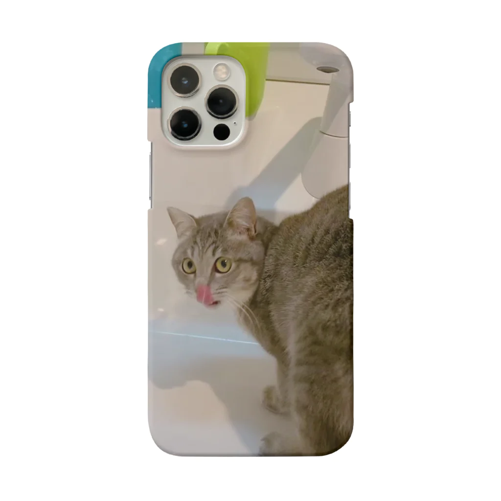 のあぺちーののぺろんちょのあぺちーの Smartphone Case