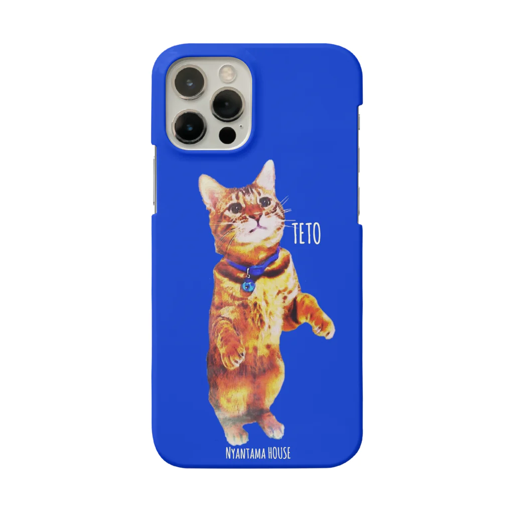 にゃんたまHOUSEのテト ブルー Smartphone Case