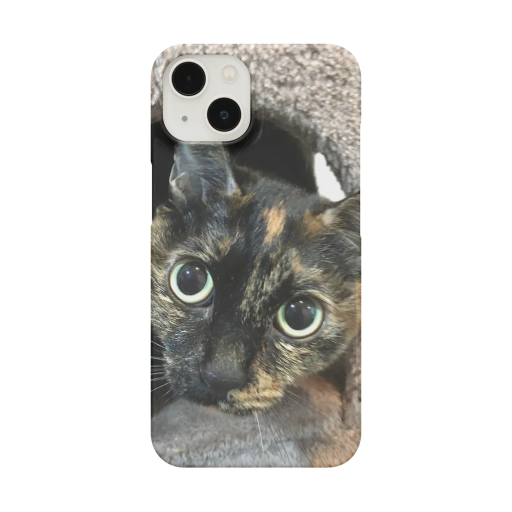 minequitaのサビ猫タビ Smartphone Case