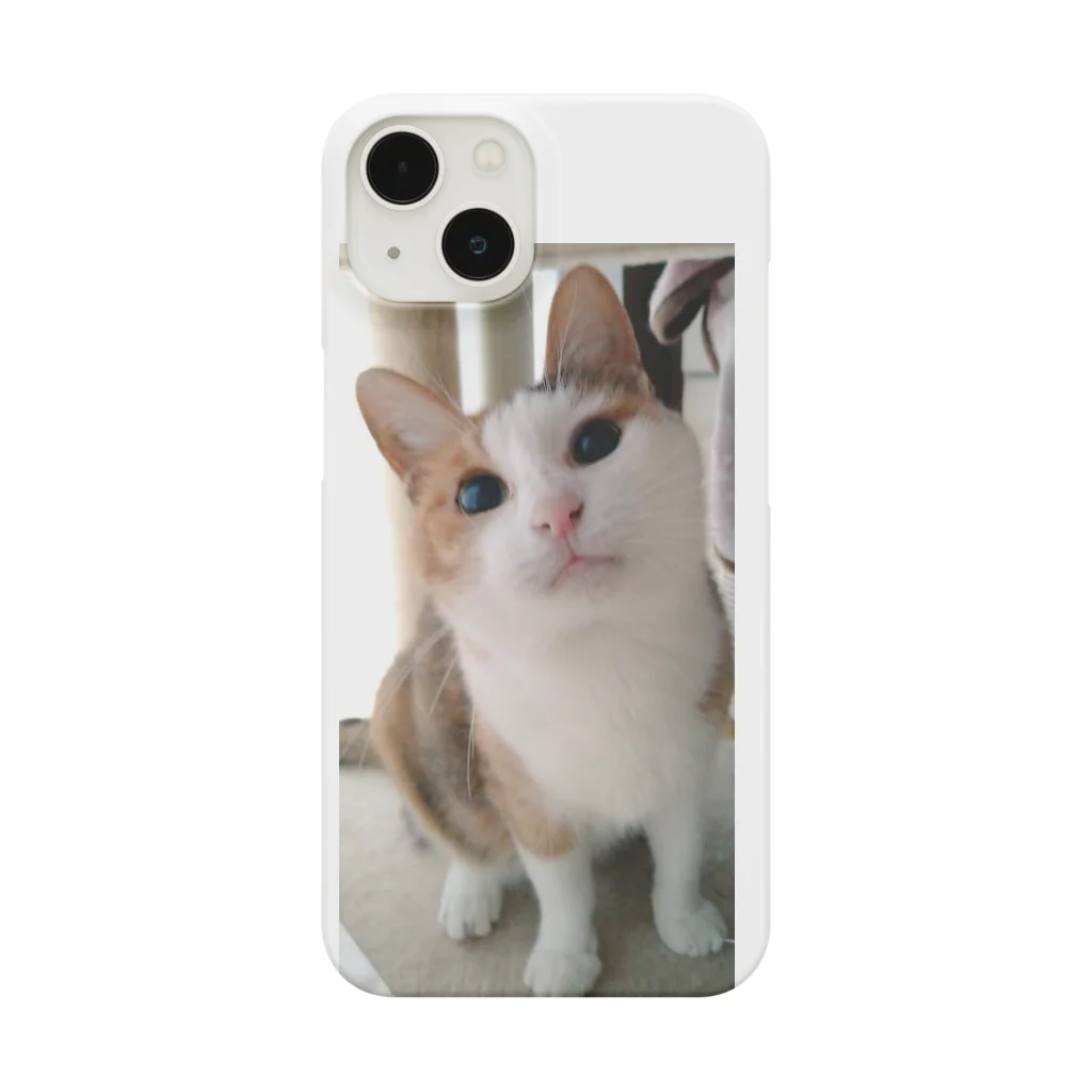 なぅ(ฅ¯ω¯ฅ )🐱🐱🐶🐾のめめたん Smartphone Case