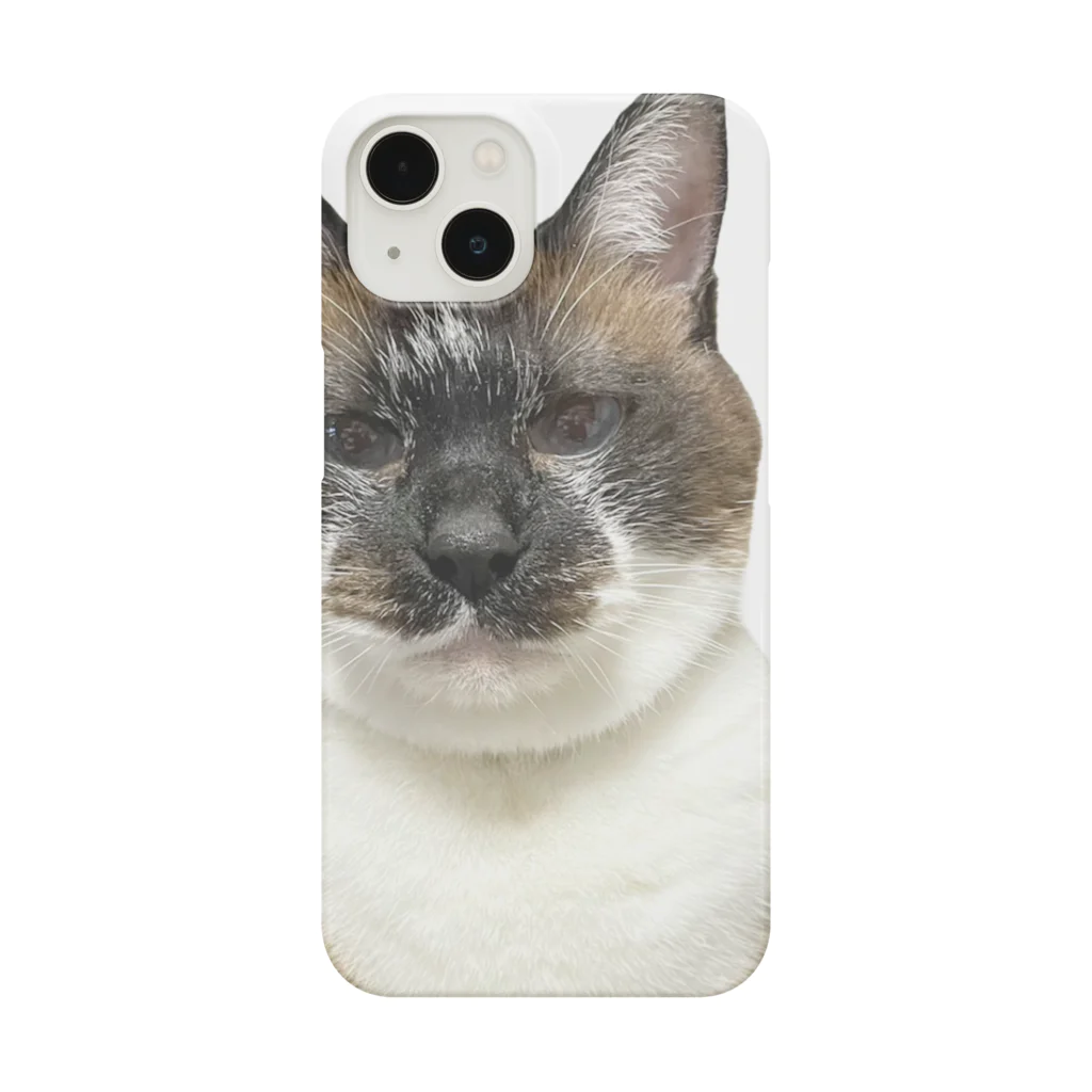 ねこまみれの解せぬ Smartphone Case