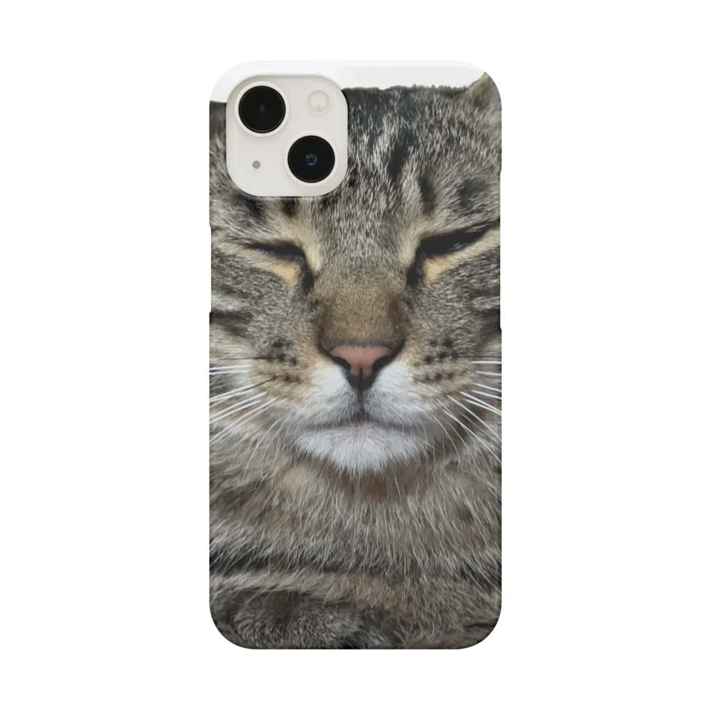 ねこいぬやのてとら Smartphone Case