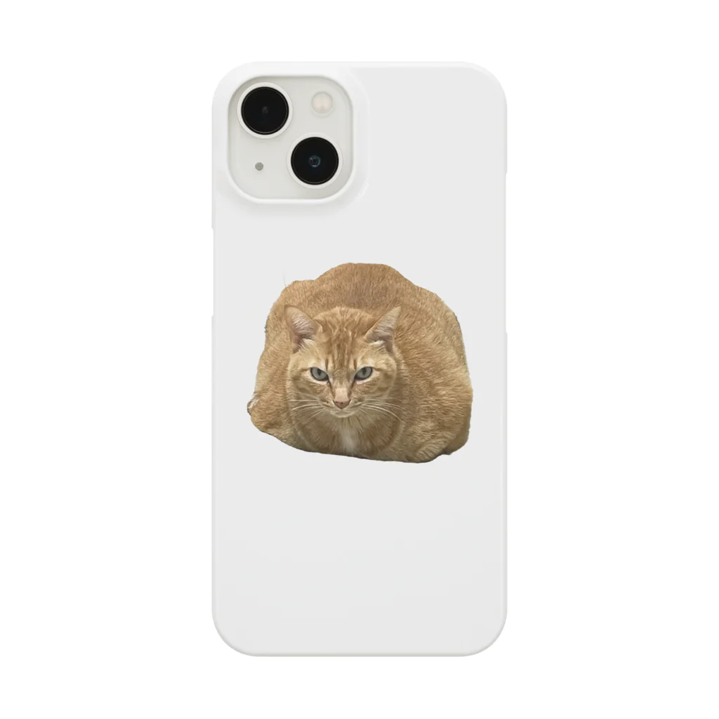 猫ののりおのシュークリームみたいな猫ののりお Smartphone Case