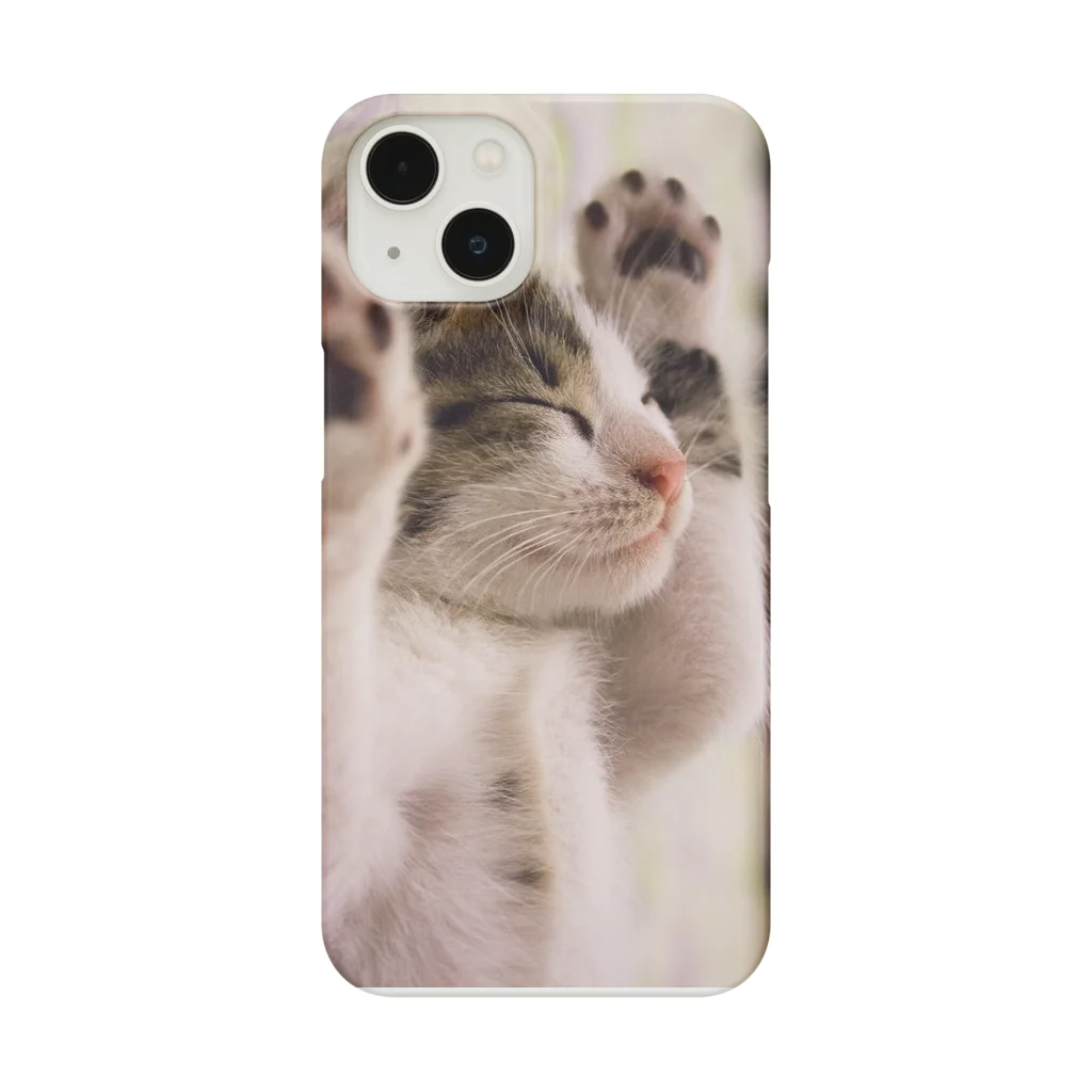 レトロ原宿のすやすや猫ちゃん Smartphone Case