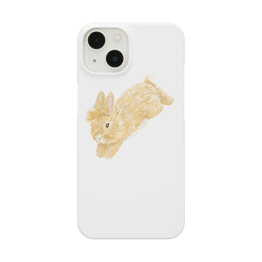 y siestaのライオンラビット Smartphone Case