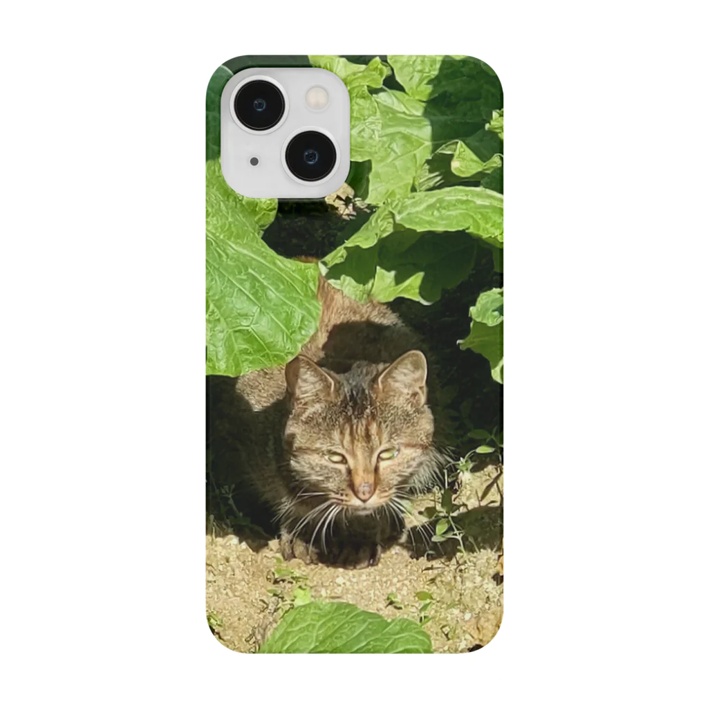 くまくま農園の白菜畑の雉虎 Smartphone Case