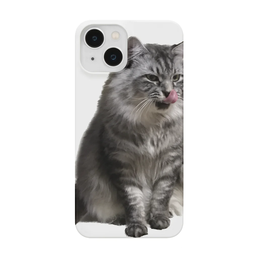 保護猫ファミリーの獅鳳コレクション2 Smartphone Case