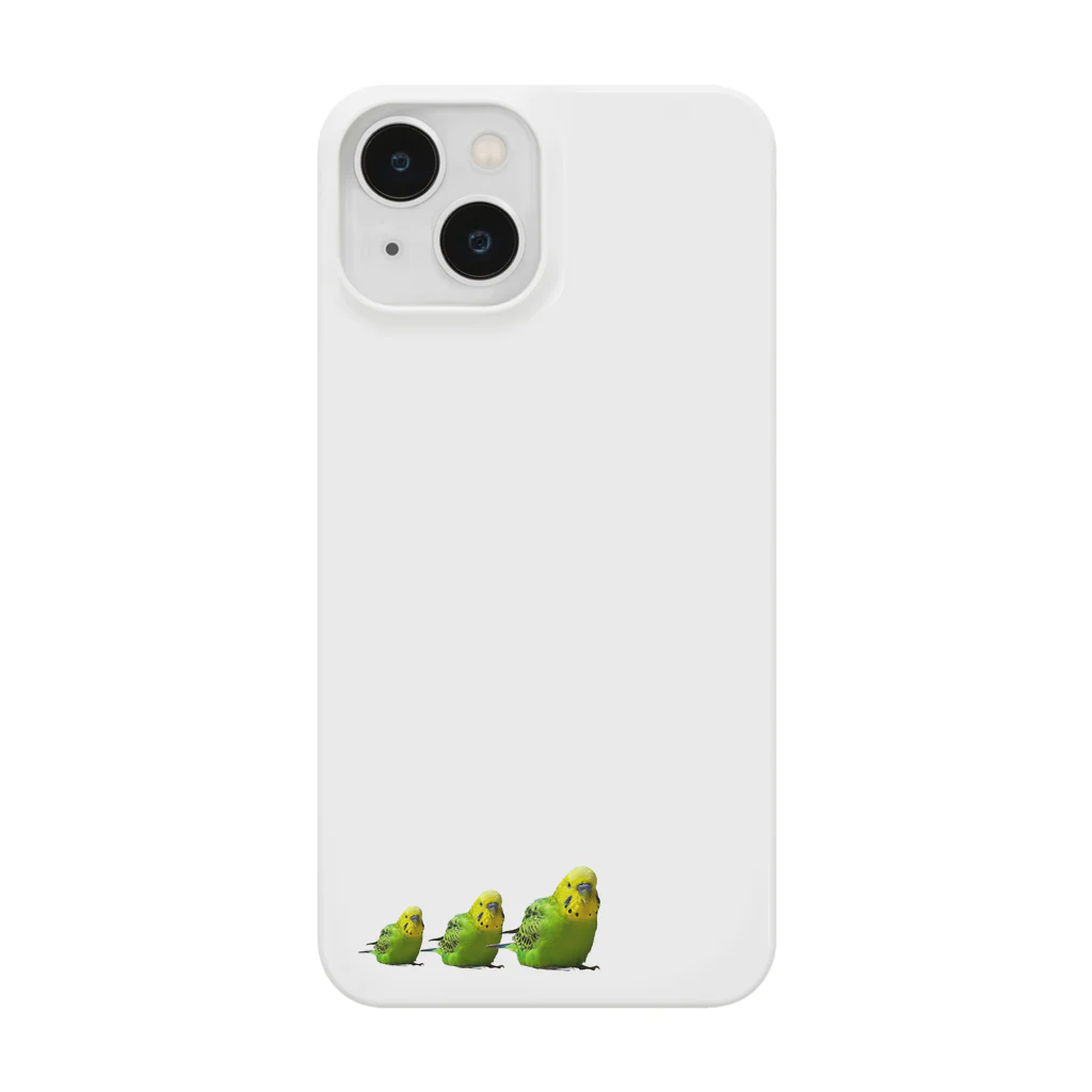 papi365日の3匹のインコ Smartphone Case