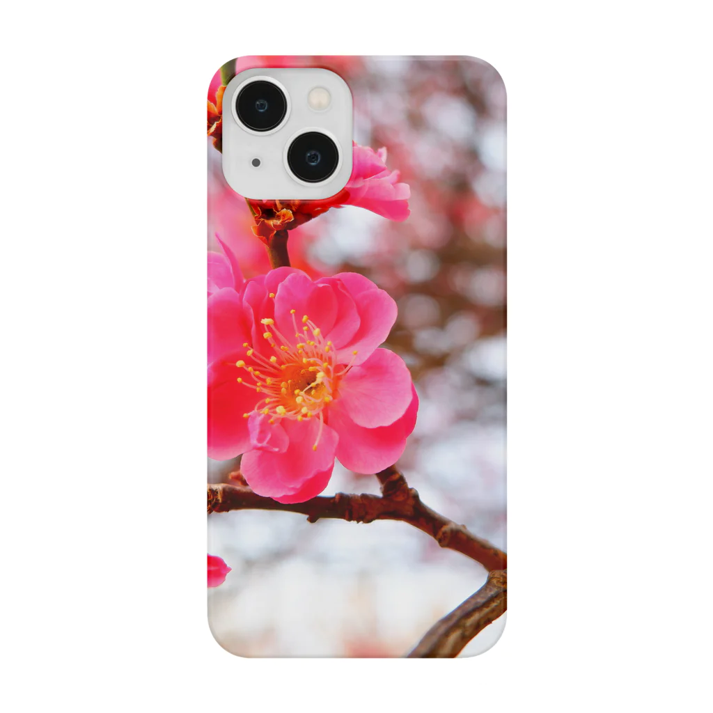 dandelionの紅梅 Smartphone Case