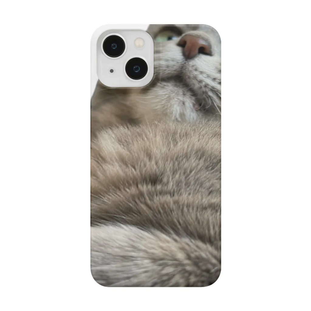 グレージュ猫ロッタン🐈‍⬛のよそ見ロッタン Smartphone Case