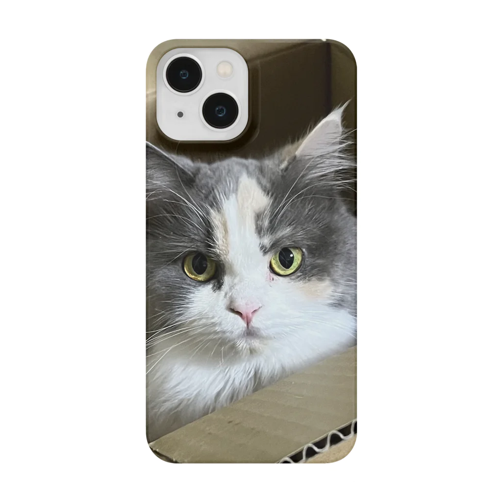 猫のお姫様のダンボール姫 Smartphone Case