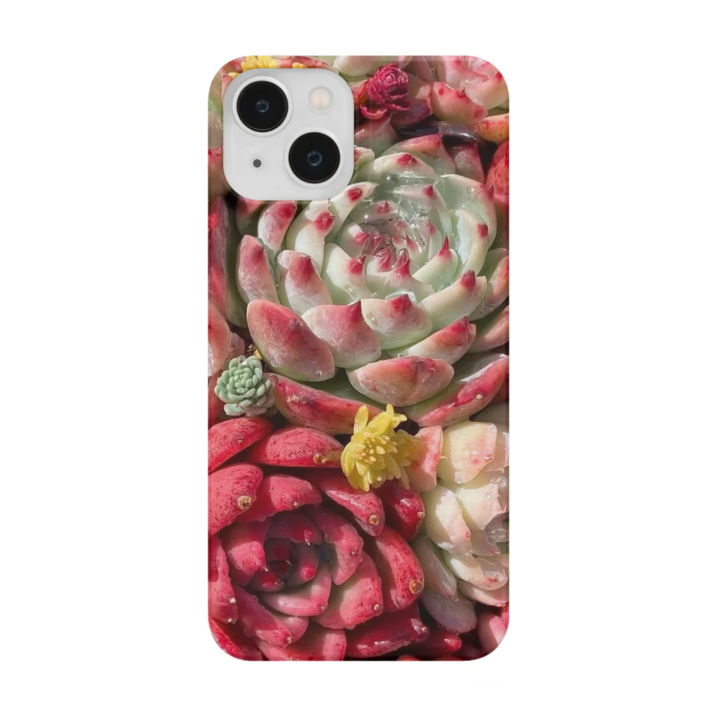 Echeveria_Masterの華やかなエケベリア Smartphone Case