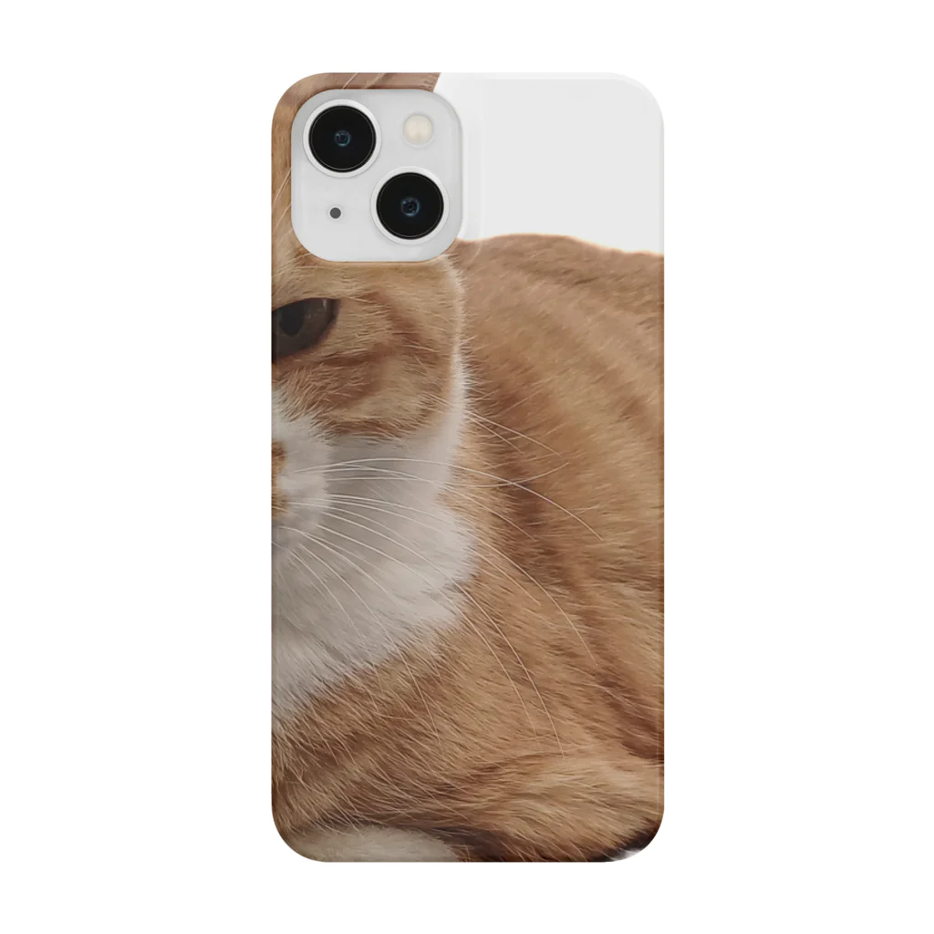 dszsdfdのこうばこねこねこ スマホケース