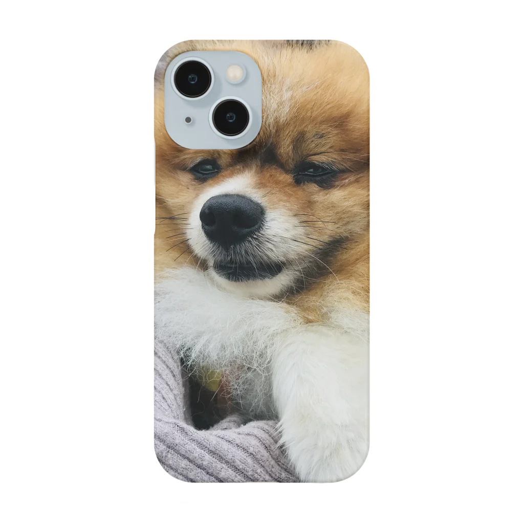 ポメラニアンのアリスくんのポメラニアンのアリスくん Smartphone Case