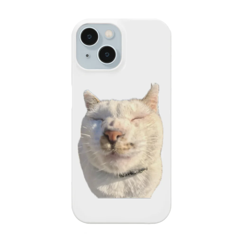 猫島のじかんのたまらない島猫のどアップ顔グッズ① Smartphone Case